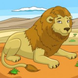 Animal Hide and Seek