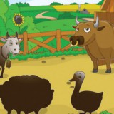 Back at the Barnyard