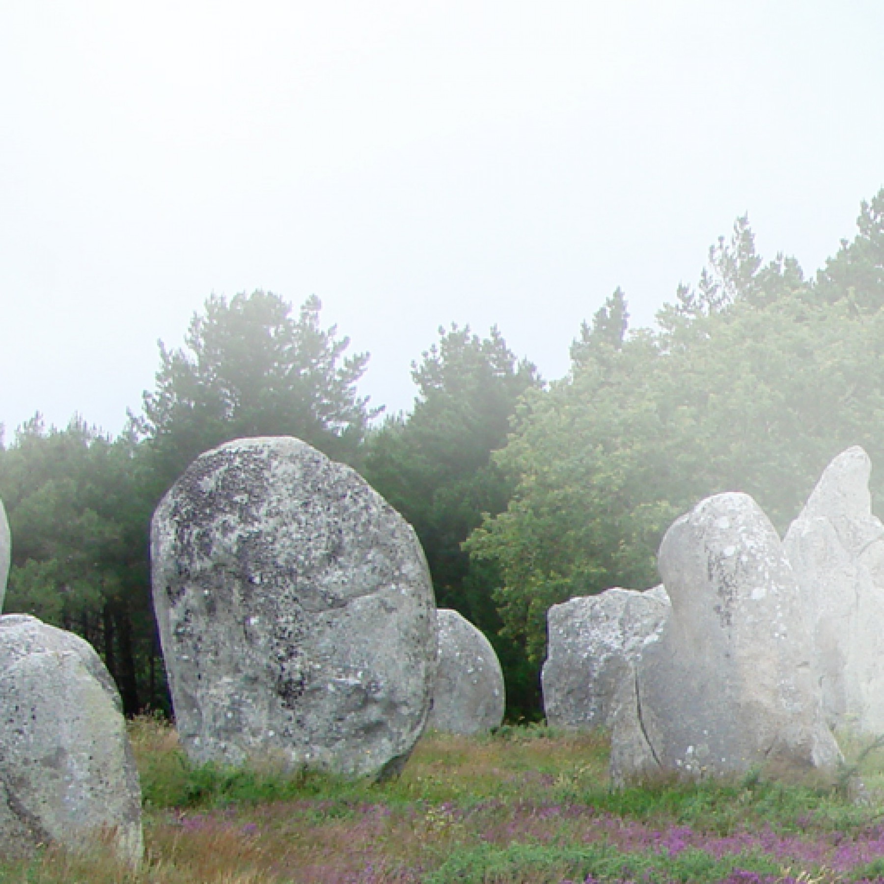 carnac-travel-adults-main-location1