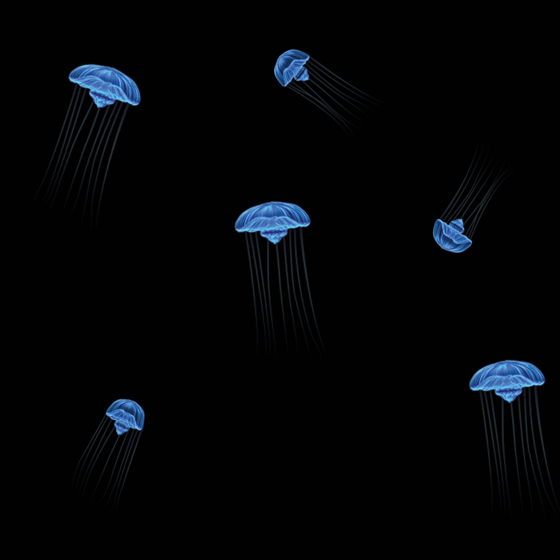 electric-jellyfish-sensory-main-location
