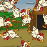 chickens-playtime-active-kids-main-location1