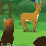 forest-creatures-kids-main-location1